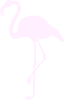 Flamand rose