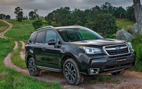 FORESTER IV Phase 2